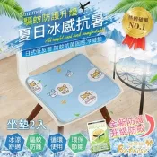 Betrise 驅蚊防護升級-日本夯熱銷防蚊抗菌固態凝膠持久冰涼坐墊 (獨家開版-坐墊買1送1)