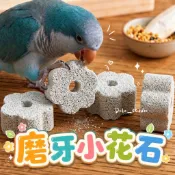 台灣出貨🍀磨牙小花石 鸚鵡磨嘴啃咬 寵物磨牙石 鸚鵡啃咬專用 礦物質小石頭 松鼠磨牙石 虎皮鸚鵡 玄鳳鸚鵡 鸚鵡用品