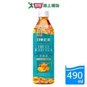 愛買線上購物 日東紅茶-水果茶490ML【愛買】