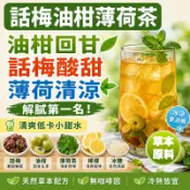 【隔日達】話梅油柑薄荷茶 夏日清潤飲 冷泡茶包 果乾水 話梅、油柑、薄荷茶、檸檬、冰糖 茶包 茶