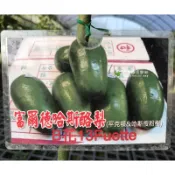 富爾德 酪梨 勿直接下標 嫁接苗 Fuerte Avocado 酪梨苗 樹苗 佛也得 哈斯 平克頓 露拉 授粉樹 富爾得
