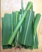 新鮮 牧草 慶開幕  買1kg(葉加嫩梗) 1KG  狼尾草 天竺鼠 兔 最愛