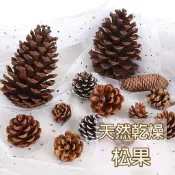 ⭐台灣現貨⭐乾燥松果 天然乾燥果實 松果支 松果 乾燥花 特大松果 天然素材 裝飾品 聖誕節 擺飾 鄉村風 毬果 大中小