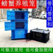 螃蟹養殖籠 塑膠海鮮養殖箱 帶側門方形可疊加可獨立 水產養殖場活體海鮮暫養 鮑魚龍蝦 水產店餐廳適用