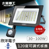 ※ 欣洋電子 ※ 太星電工 LED感應投射燈 30W~100W 全電壓 (WDC3030) (WDC3050) (WDC30100)｜戶外感應燈 插電感應燈 人體感應燈 花園感應燈 工業感應燈