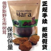 新效期🚚樺樹茸正宗俄羅斯樺樹茸樺褐孔菌正品白樺茸黑金顆粒原裝野生進口臺灣現🚚貨