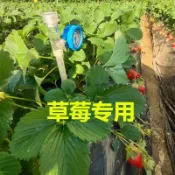 企業店鋪土壤張力計水分特征水勢監測灌溉指導濕度檢測儀負壓計墑情儀大棚詢運費