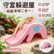 守宮躲避屋 爬寵滑梯二合一 蜥蜴造景擺件 蛇類躲藏玩具 睫角守宮適用 爬蟲躲避滑梯屋