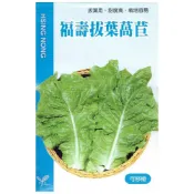 (店+)【天橙種子】福壽拔葉萵苣種子 綠葉A菜 約2公克 全年可播種 葉菜類種子 美國進口 興農種苗 家庭園藝  彩色原包裝