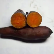 《免運費宅配到府》6斤350元無毒台農66號小顆地瓜(紅皮紅肉) (慧軒農場) 日本品種栗子地瓜菱角，黃金，松阪玉紫地瓜