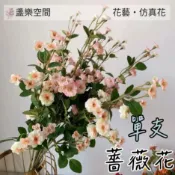 薔薇花 單支花 玫瑰花 保鮮花 仿真花 手感保濕 人造花 西洋玫瑰 永生花 乾燥花 玫瑰花束