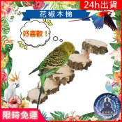 【寵物覺醒24h出貨】鸚鵡用品花椒木樓梯鸚鵡玩具倉鼠玩具倉鼠用品小寵黃金鼠布丁鼠