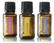 [信實精油] doTERRA 多特瑞基本精油套組(檸檬,薰衣草,薄荷15ml各一瓶] (清倉組)