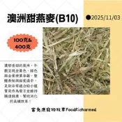 甜燕麥(B10款)※11/3到貨《富兔康》♥澳洲甜燕麥(B10)※100克&400克/牧草/兔子草/寵物牧草