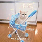 寵物推車 狗狗推車 貓咪推車 寵物出遊 寵物外出 透氣大空間 可拆可折疊 寵物推車貓咪手推車便攜可摺疊戶外狗狗小車貓睡覺