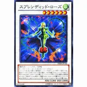 遊戲王 單卡 DE04-JP146 華麗薔薇 (全新未使用)