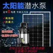 萬華精品 太陽能水泵 小麥太陽能戶外農用灌溉抽水泵魚塘循環水24V48V60直流抽水機