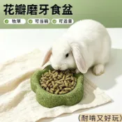 臺灣出貨✨倉鼠牧草磨牙食盆花朵造型可食用食碗兔子豚鼠磨牙餵食盆倉鼠用品 倉鼠用品 倉鼠 倉鼠玩具 寵物用品