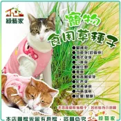 【綠藝家】寵物食用草系列種子│貓草 生菜 種子 苜蓿草 黑麥草 黑燕麥 小麥草 百慕達草 豌豆嬰 牧草