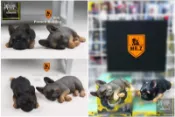 【神經玩具】現貨 Mr.Z 模擬動物第九彈法國鬥牛犬 005 一組兩入 睡眠狀態 非扭蛋 非盒玩