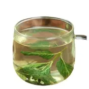 【公司貨驗證 免運】薄荷茶新貨炒薄荷葉清涼薄荷顆粒泡水食用薄荷葉茶幹貨安徽其他