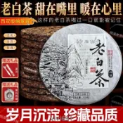 2018正宗云南老白茶普洱茶月光白茶餅茶陳年茶葉送禮春季壽眉貢眉