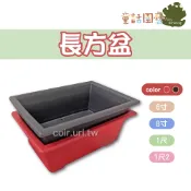 【花園夢想家】長方盆  6寸 8寸 1尺 尺2  兩色售  長方盆  長盆  加深型菜槽  盆景藝術  童話園藝