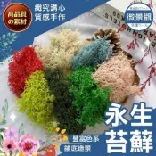 (店+)【織心手作】頂級嚴選 永生花苔癬 永生苔蘚 青苔 苔癬 微景觀  永生花 鋪底用苔草 假山造景 moss馴鹿草 乾燥花 永生
