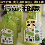 🔥夏日去油神仙水 油柑汁🔥台灣發貨 萬卓1.2kg 果泥 濃漿 鳳梨果汁 油柑汁 原汁 Monin糖漿