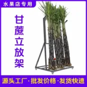 卜二屋 公司貨 免運 超低價 賣甘蔗架子立放展示架擺放架甘蔗陳列架固定架支架水果店專用貨架 快速發貨