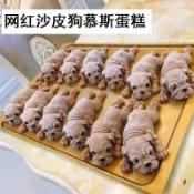 【全店免運 桃園出貨】💥限時下殺網紅3D立體沙皮狗慕斯模具冰淇凌蛋糕硅膠模具果凍布丁雪糕硅膠模
