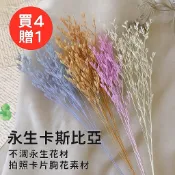 永生卡斯比亞 情人草乾燥花｜不凋永生花材 拍照 滴膠材料 卡片花藝 胸花素材