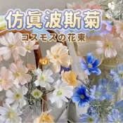(店+)PARTIDO 仿真波斯菊 小雛菊 仿真雛菊 畢業花束 父親節花束 生日花束 仿真花 假花 乾燥花 拍照道具 花束 永生