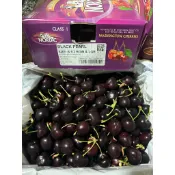 華盛頓8.5r紅櫻桃原裝組