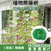(店+)植物爬藤網 園藝網 搭架網 栽培網 棚架網 絲瓜網 防鳥網 吊瓜網 小黃瓜 牽牛花【HOMEDEN霍登園藝】