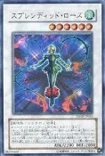 APP STORE ~ TSHD盒 C13   TSHD-JP043 華麗薔薇 (金亮)