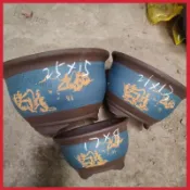 H紫砂花盆盆景杜鵑花三角梅淺口處理👍