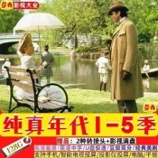 純真年代15季 中英字幕 無損高清 畫質 极速 U盤 手機 電腦 精選推薦 無損音質