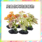 ★爬蟲新樂園★[台灣現貨]爬蟲仿真植物 爬蟲造景 爬箱佈置 水族造景 樹棲造景 爬蟲 守宮 蜥蜴 變色龍 蜘蛛 蠍子