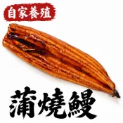 🛶嘉義鰻魚家族【只賣現貨】蒲燒鰻 蒲燒鰻魚 浦燒鰻 紅燒鰻 鰻 浦燒鰻魚 鰻魚禮盒 鰻魚飯 烤鰻魚 日本鰻 白鰻 養殖戶