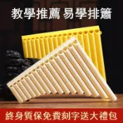 風鈴草百貨 易學排簫樂器18管兒童16管初學小學生排笛入門專用新生吹管C調