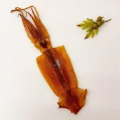 (店+)【惠珍軒】阿根廷超大乾魷魚130gx1袋