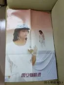 【樂購黑膠】雷安娜精選 LP黑膠 海報 輕微破損 不議價