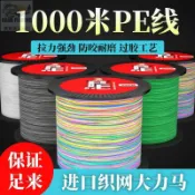 【8編大力馬線】PE線 1000米 布線 進口 主線 4編 編織線 500米 路亞專用 釣魚線 卡夢線 耐磨 高強度 磯