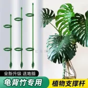 【防倒伏】花架子 龜背竹支架 繡球支撐杆 金錢樹 天堂鳥 月季 爬藤植物 固定 支撐架 植物支撐架