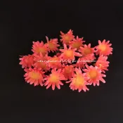 波斯菊 小雛菊 野菊花 仿真迷你花頭 假花 人造花 向日葵 小菊花 蛋糕水果擺盤拼盤赤身裝飾冷盤飾品園藝資材
