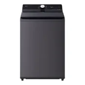 【宏騰興】【詢問再折】WT-TD20HG | LG 樂金 20公斤直立式洗衣機 EZ 系列 夜墨灰 AI DD™ 蒸氣直驅變頻
