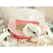 【鹹蛋鼠鼠壓箱寶】MOU0012 貓蛋倉鼠浴室 沐浴室附鏟 鼠砂屋 方便盆 鼠便盆 沐浴屋 倉鼠 布丁鼠 三線鼠
