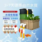 可開統編💡免運 工業風彩色沼澤水培過濾箱上置滴流盒生態水循環魚缸魚池過濾器 過濾器 周轉水箱 魚池淨水器 循環過濾箱