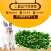 【青青草原寵物館】大小動物通用牧草甜小麥草燕麥草苜蓿提摩西一割二割百慕達 全面供應荷蘭豬天竺鼠豚鼠兔子龍貓牛羊馬陸龜